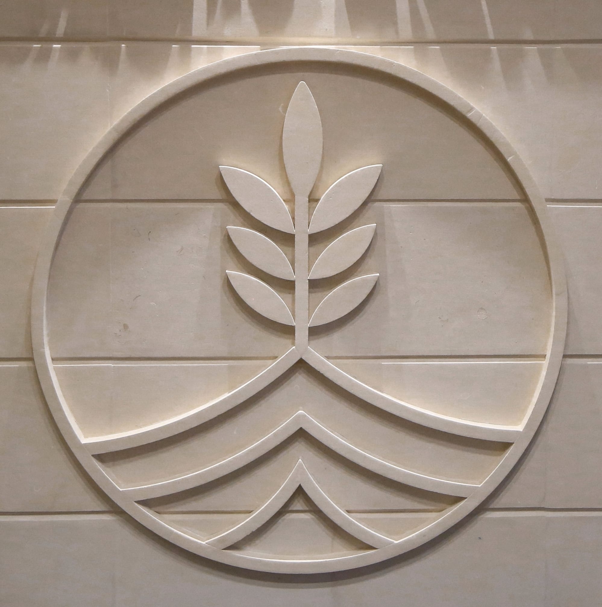 Amadeo Restaurant logo